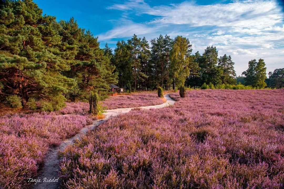 Duemmerliebe Mit Garten, 10 Min. Fusslaeufig Zum Ferienhaus Hüde